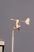 tn_DSC_0781